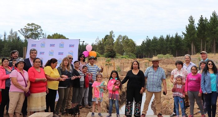 Solución para “blancos”