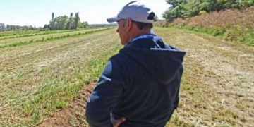 Critican nulo avance del MOP en riego para los “blancos”