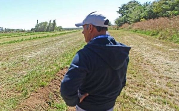 Critican nulo avance del MOP en riego para los “blancos”