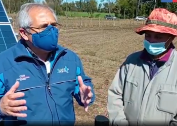 40 proyectos esta temporada cambian panorama en los campos de Ñuble