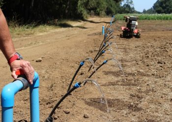 Aguas: una norma revolucionaria